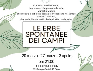 LE ERBE SPONTANEE DEI CAMPI